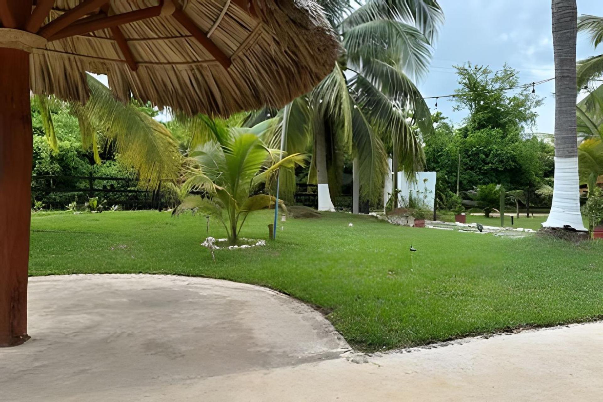 Casa Las Palmas Playa La Saladita Zihuatanejo Exterior foto