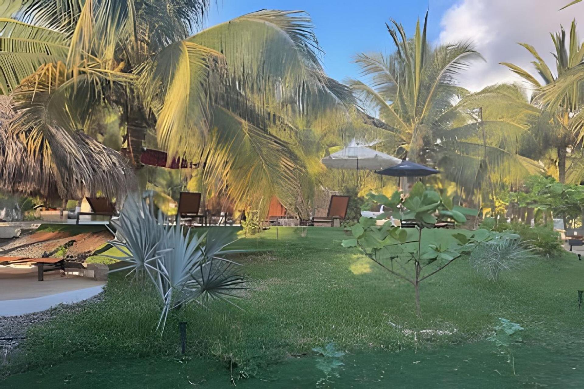 Casa Las Palmas Playa La Saladita Zihuatanejo Exterior foto