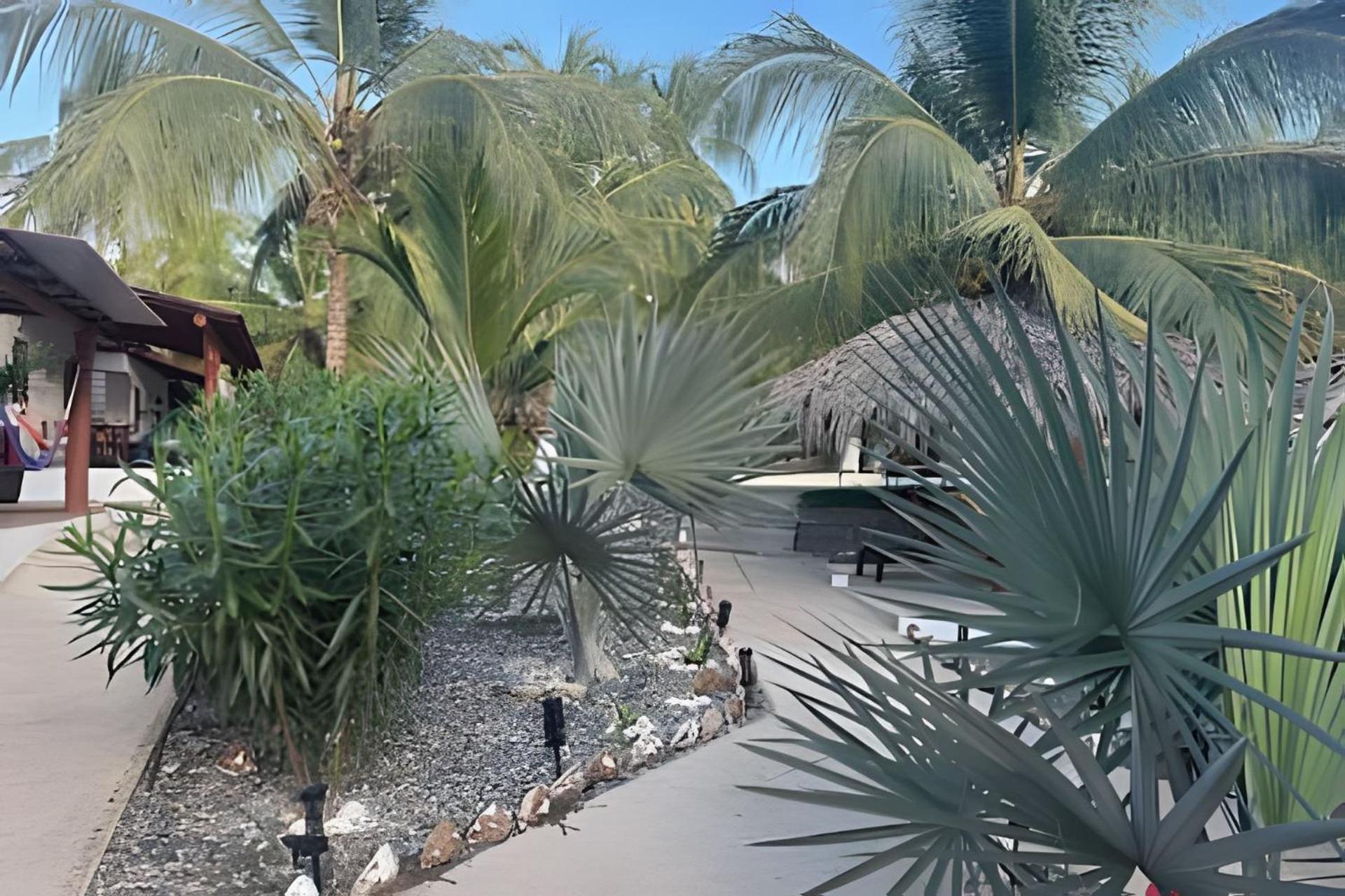 Casa Las Palmas Playa La Saladita Zihuatanejo Exterior foto