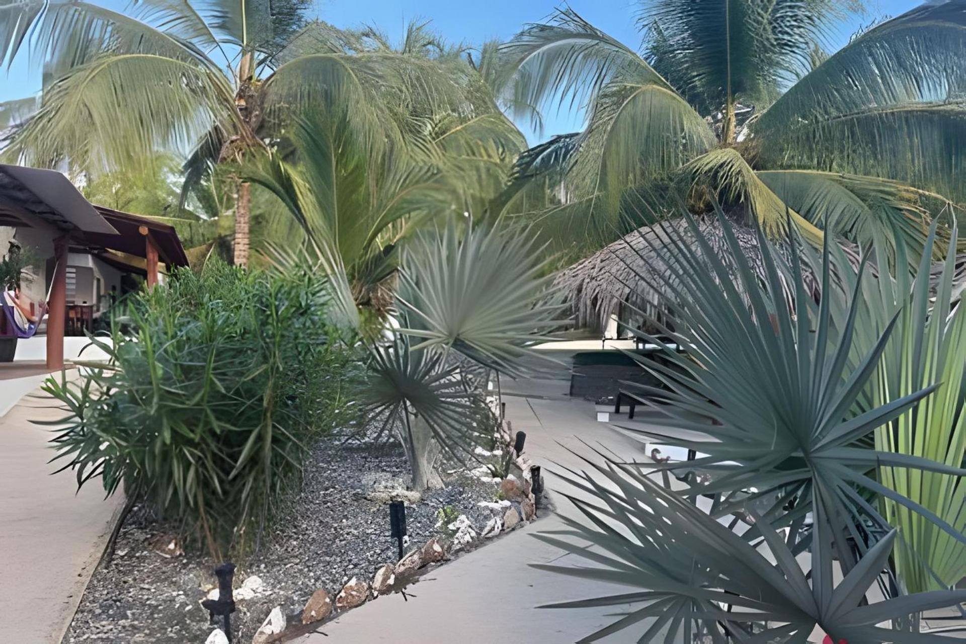 Casa Las Palmas Playa La Saladita Zihuatanejo Exterior foto