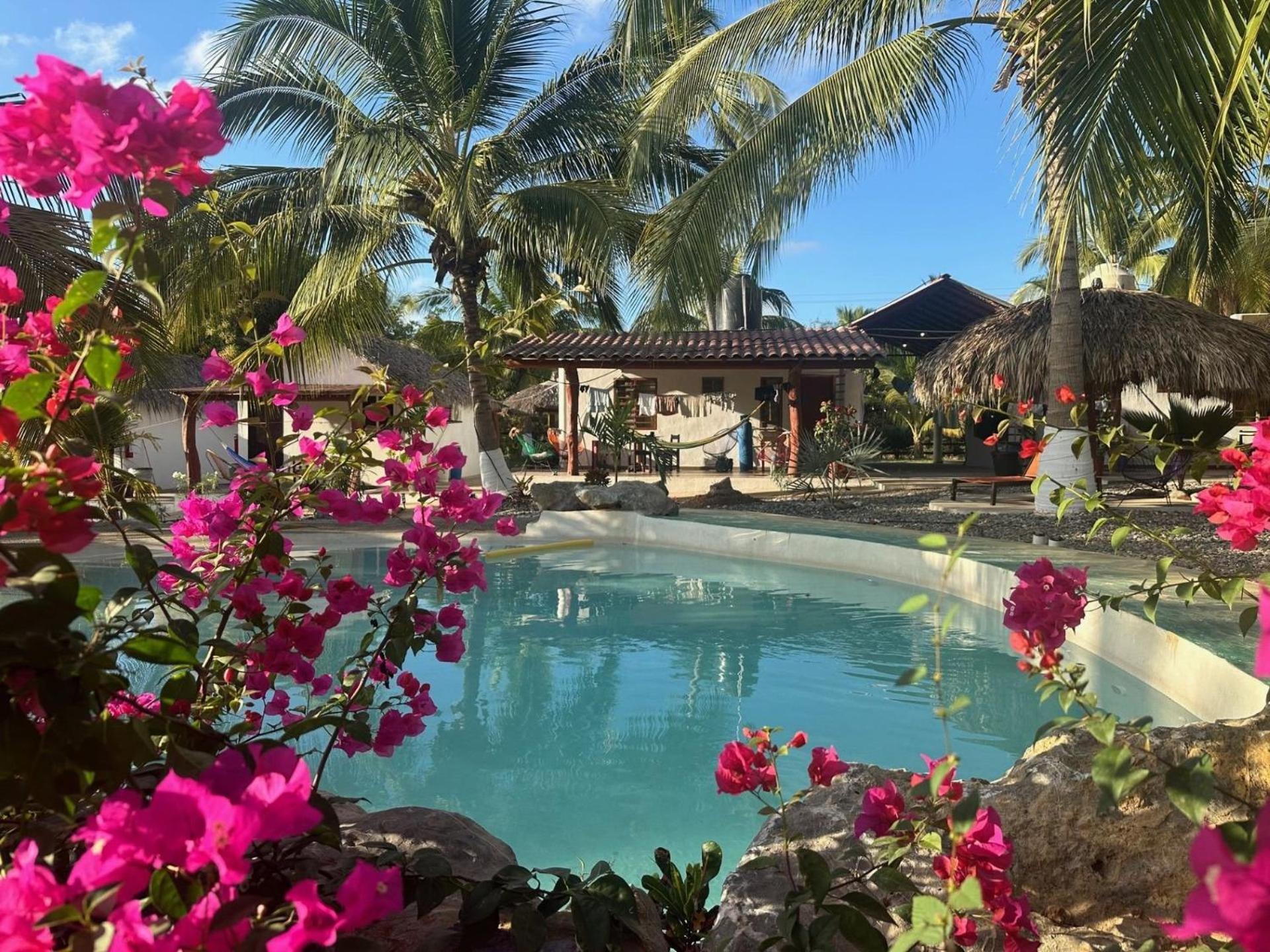 Casa Las Palmas Playa La Saladita Zihuatanejo Exterior foto